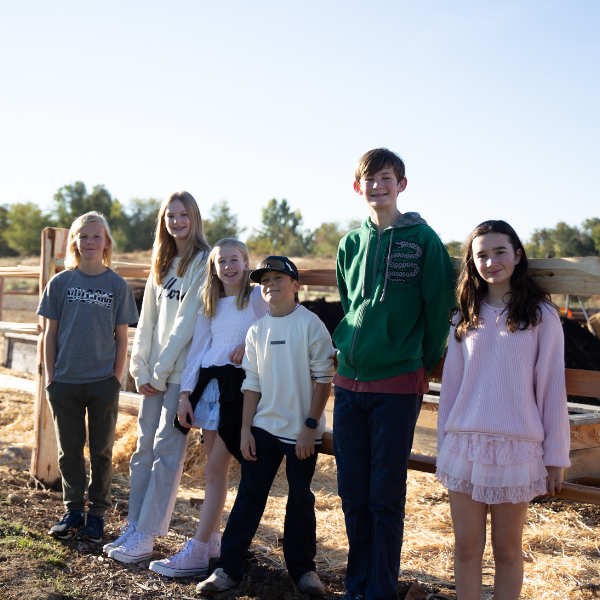 600 x 600 (4) Community Garden